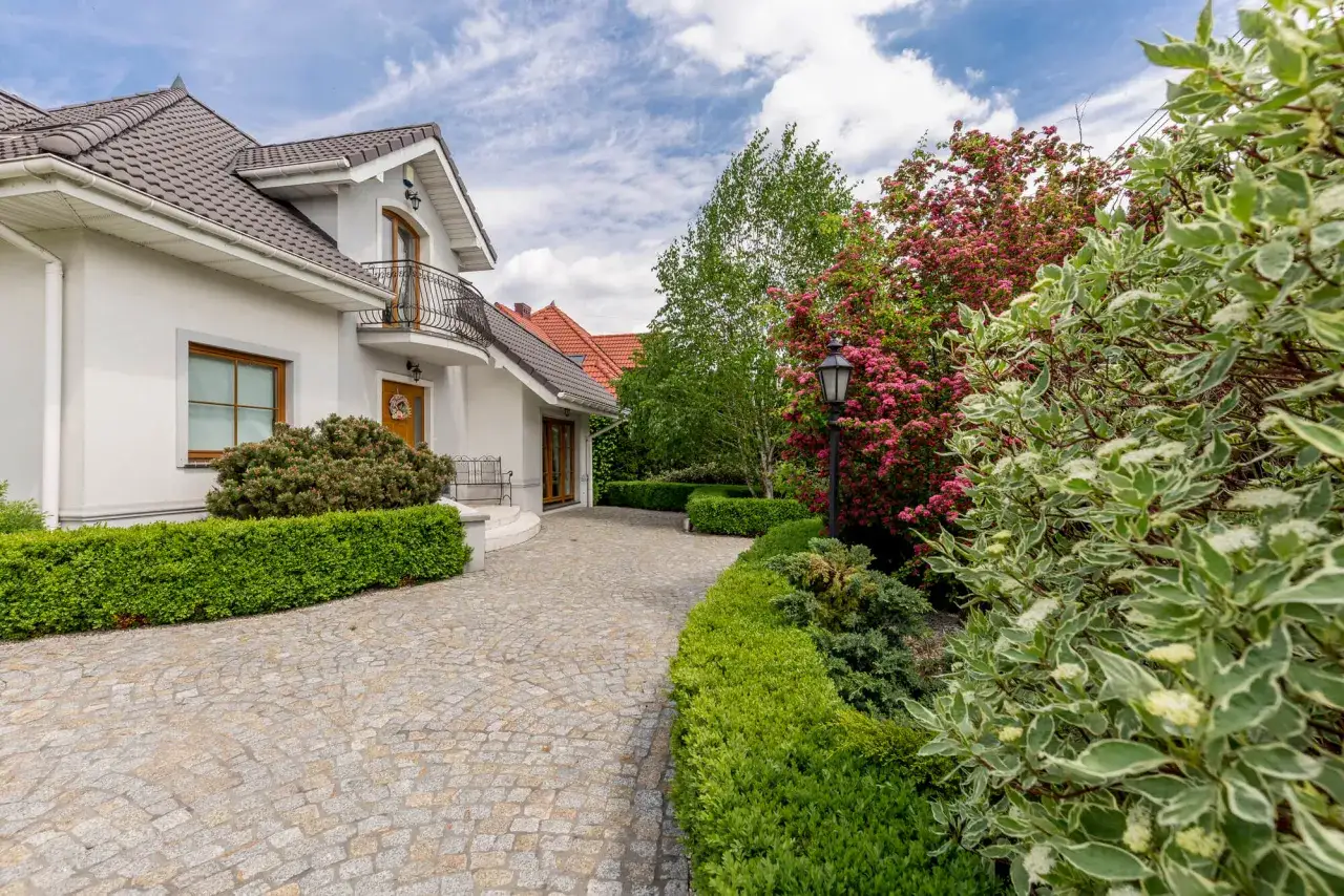 Piękny podjazd bez ogrodzenia, wyłożony kamieniem, prowadzi do białego domu z kwitnącymi krzewami i drzewami.