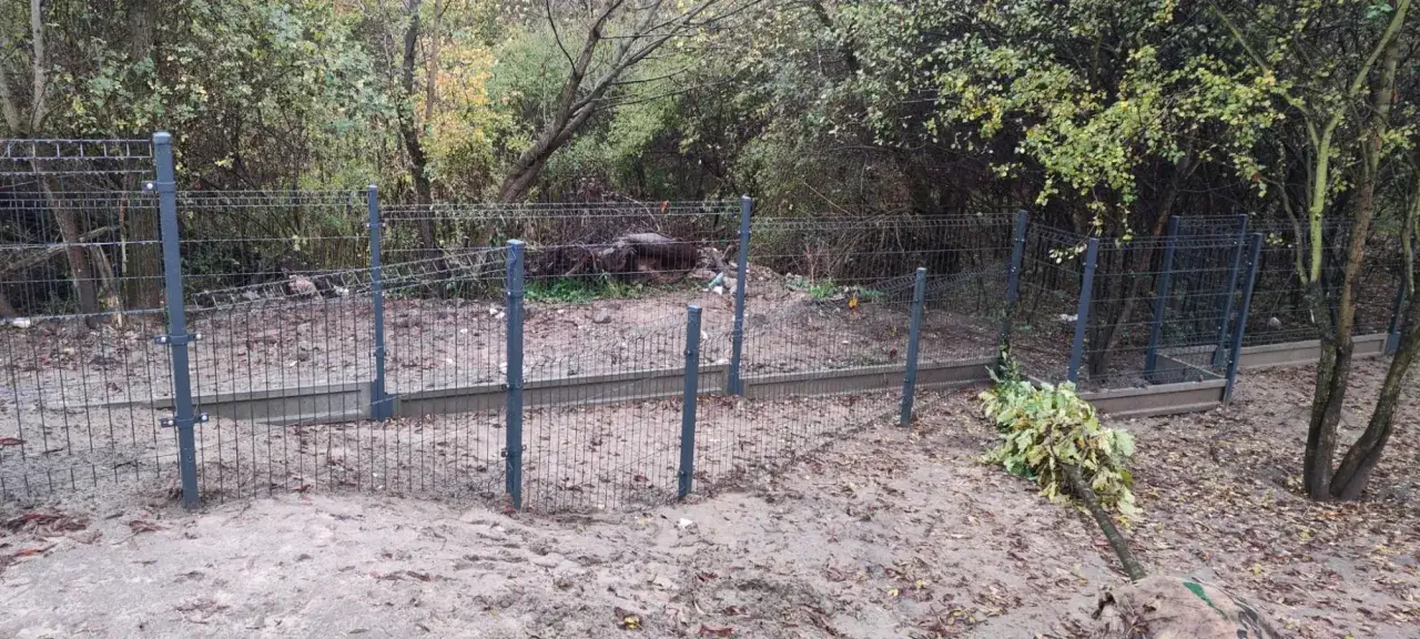 Tymczasowe ogrodzenie placu budowy otacza teren z drzewami i krzewami. W tle widać zarośla i śmieci.