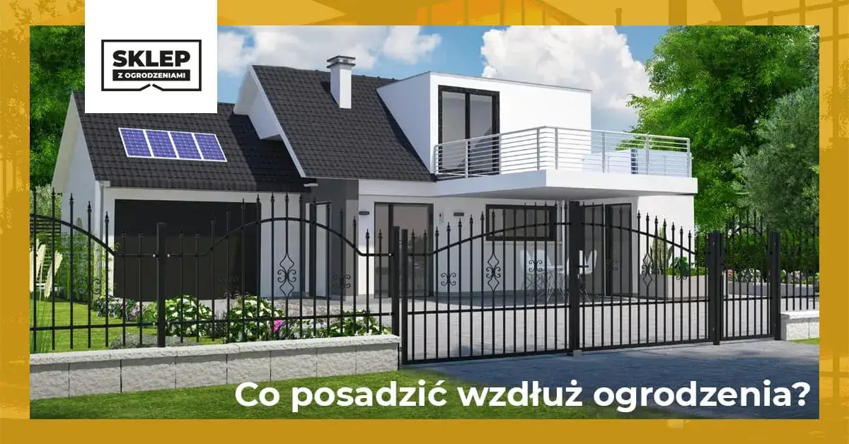 Zdjęcie Jakie rośliny przy płocie zapewnią prywatność i piękno w ogrodzie